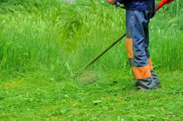 Entretien de jardin Colmar